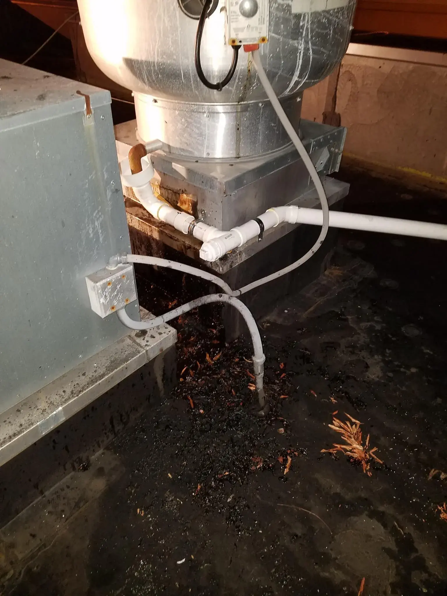 DDAN work photo 1